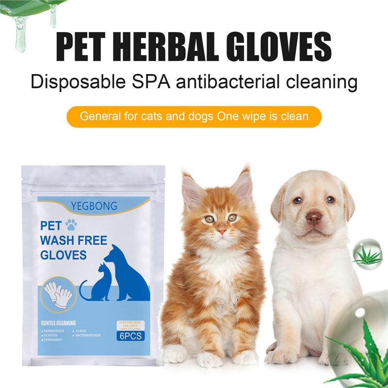 Pet Care Essentials: 6-Pack Of Disposable Non-Woven Gloves For A Clean And Happy Home by Dog Hugs Cat