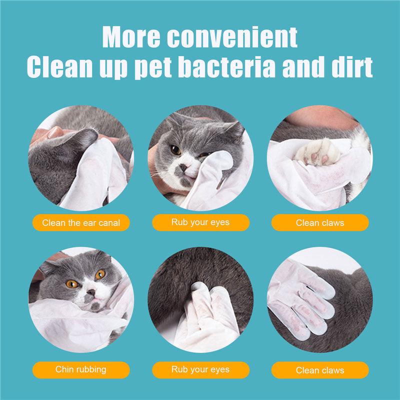 Pet Care Essentials: 6-Pack Of Disposable Non-Woven Gloves For A Clean And Happy Home by Dog Hugs Cat